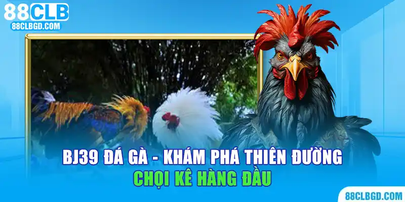 BJ39 đá gà - Khám phá thiên đường chọi kê hàng đầu
