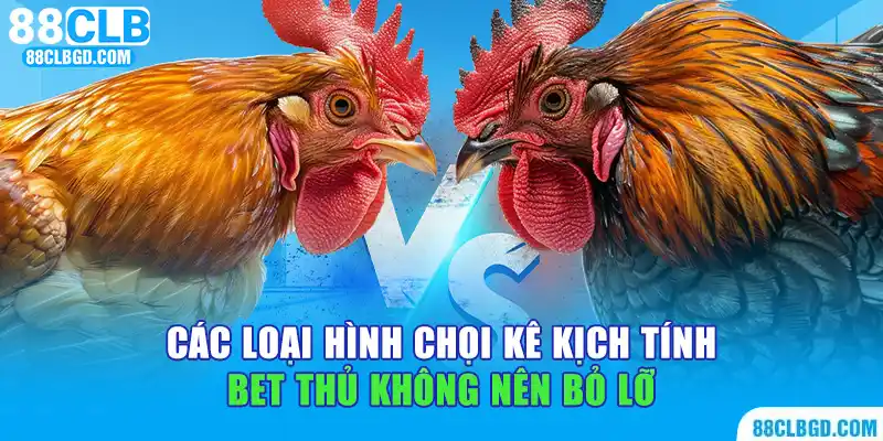 Các loại hình loại chọi kê tại nhà cái 88clb cung cấp