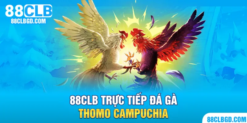 trực tiếp đá gà thomo campuchia