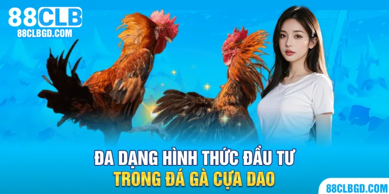 Đa dạng hình thức đầu tư trong đá gà cựa dao