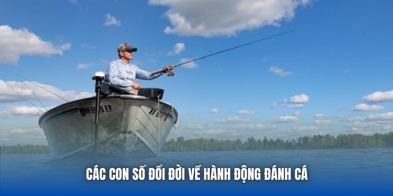 Các con số đổi đời về hành động đánh cá