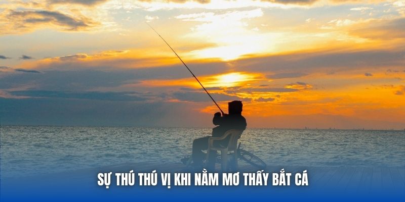 Sự thú thú vị khi nằm mơ thấy bắt cá