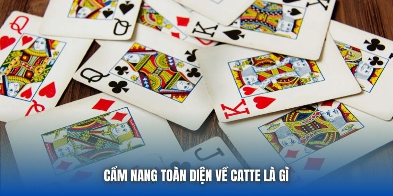 Cẩm nang toàn diện về Catte là gì 