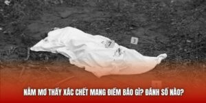 Nằm Mơ Thấy Xác Chết Mang Điềm Báo Gì? Đánh Số Nào?