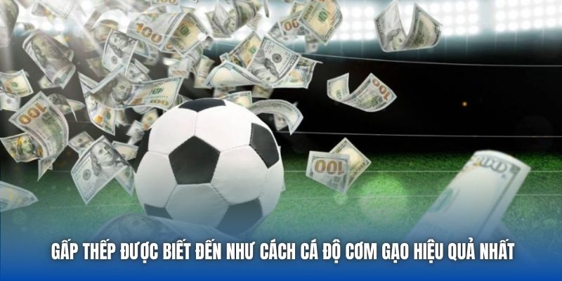 Gấp thếp được biết đến như cách cá độ cơm gạo hiệu quả nhất