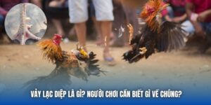 Vảy Lạc Diệp Là Gì? Người Chơi Cần Biết Gì Về Chúng?