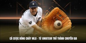 Cá Cược Bóng Chày MLB | Từ Amateur Trở Thành Chuyên Gia