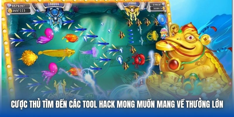 Cược thủ tìm đến các tool hack mong muốn mang về thưởng lớn