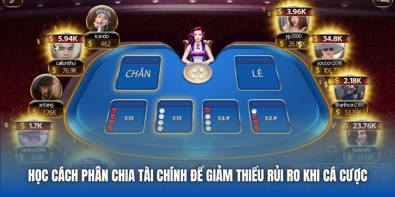 Học cách phân chia tài chính để giảm thiểu rủi ro khi cá cược